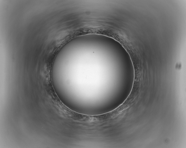 X0000091941109200709121613