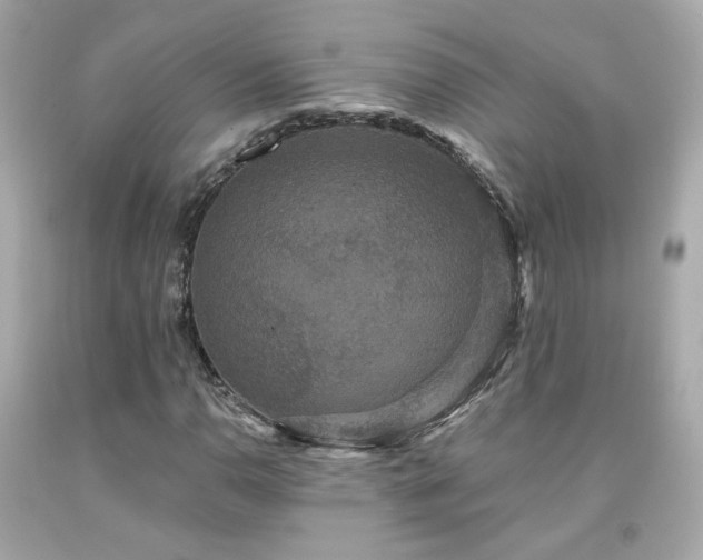 X0000091941110200709121613