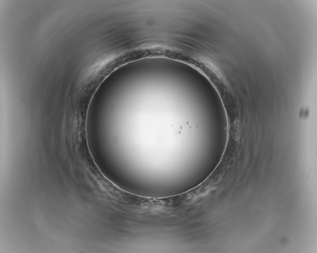 X0000091941111200709121613