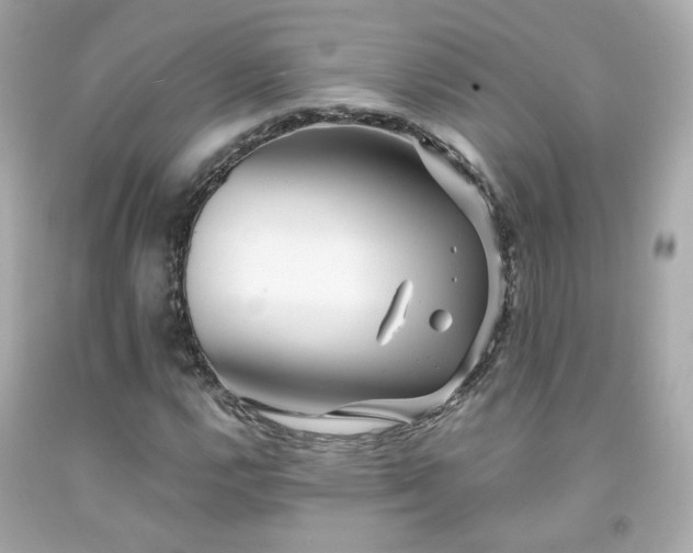 X0000091941112200709121613