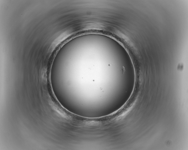 X0000091941113200709121613