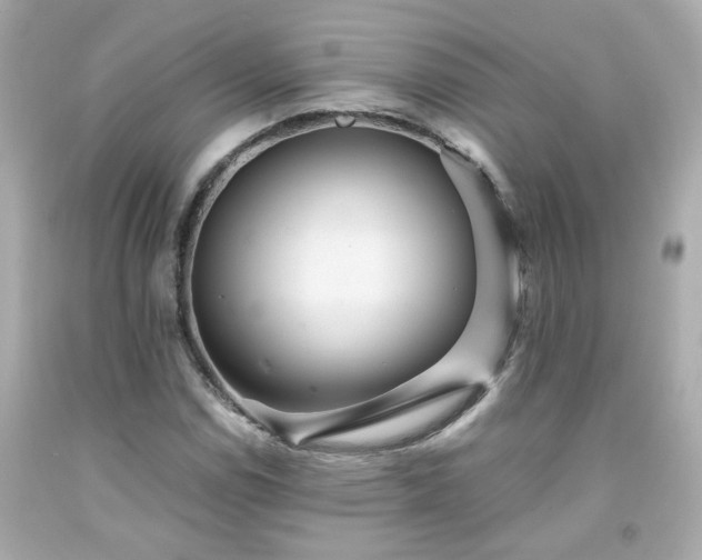 X0000091941114200709121613