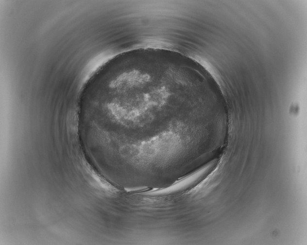 X0000091941115200709121613