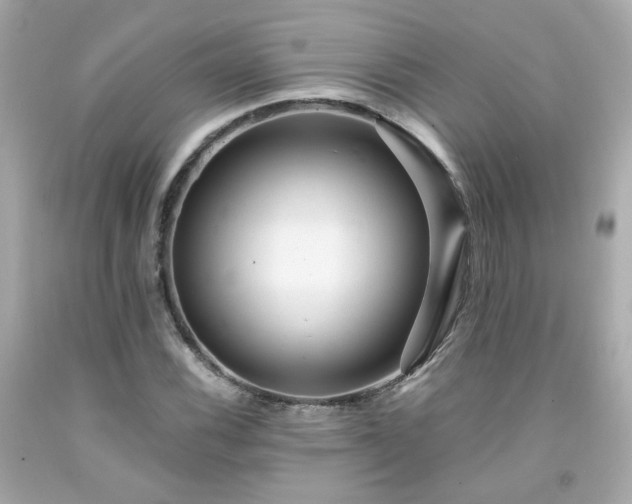 X0000091941116200709121613