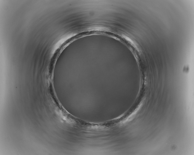 X0000091941117200709121613