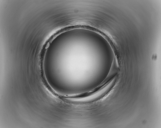 X0000091941118200709121613