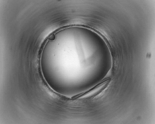 X0000091941119200709121613