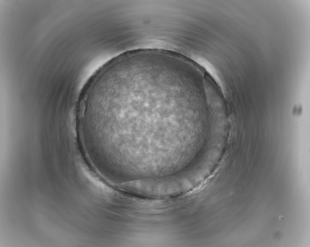 X0000091941120200709121614