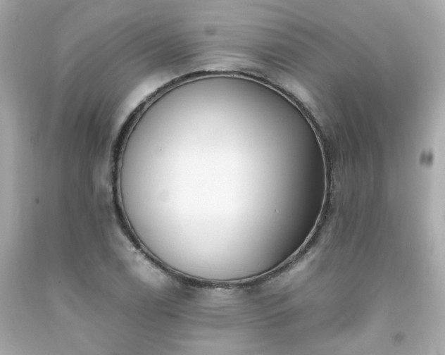 X0000091941122200709121614