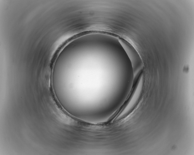 X0000091941123200709121614