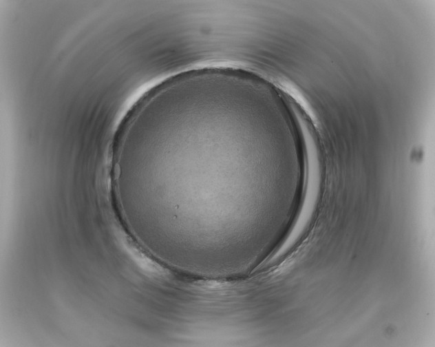 X0000091941124200709121614