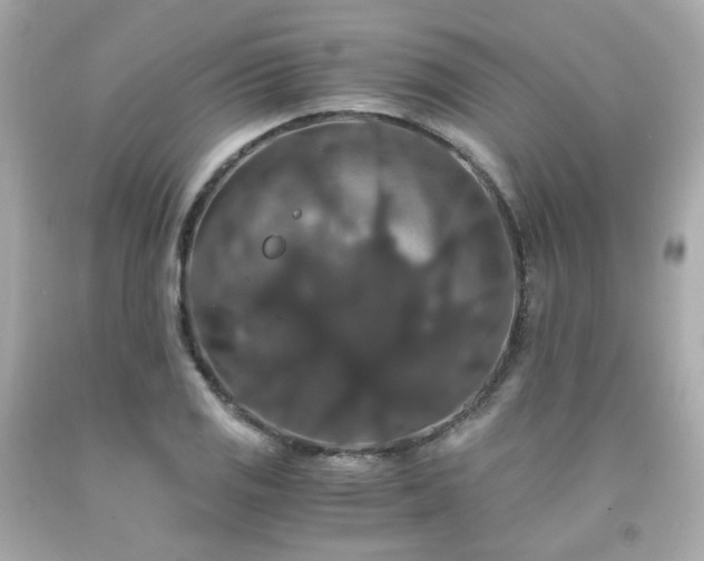 X0000091941125200709121614