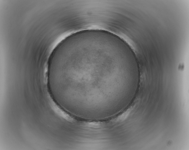 X0000091941126200709121614