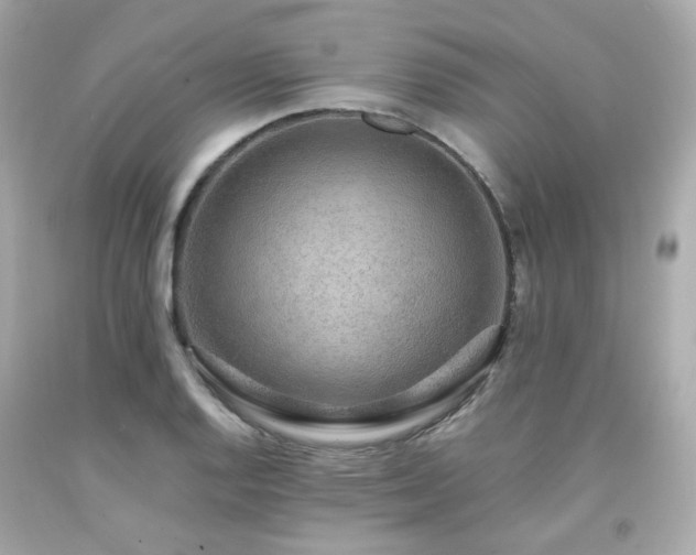 X0000091941128200709121614