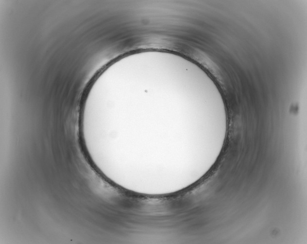 X0000091941130200709121614