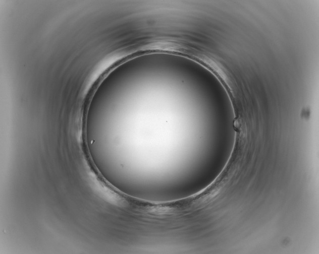 X0000091941131200709121614