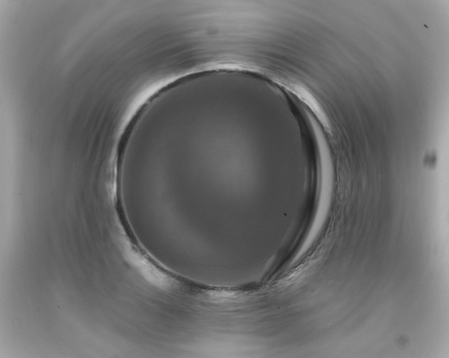 X0000091941132200709121614