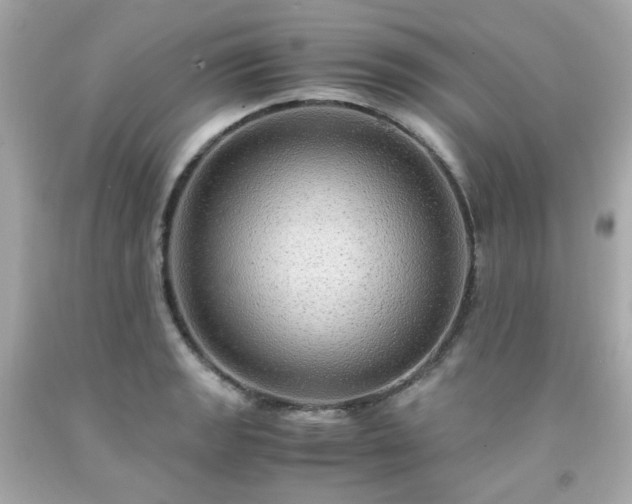 X0000091941133200709121614