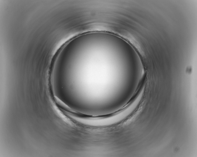 X0000091941134200709121614