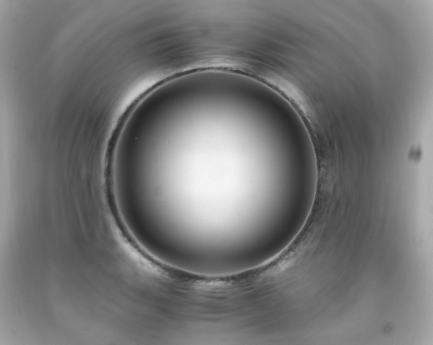 X0000091941135200709121614