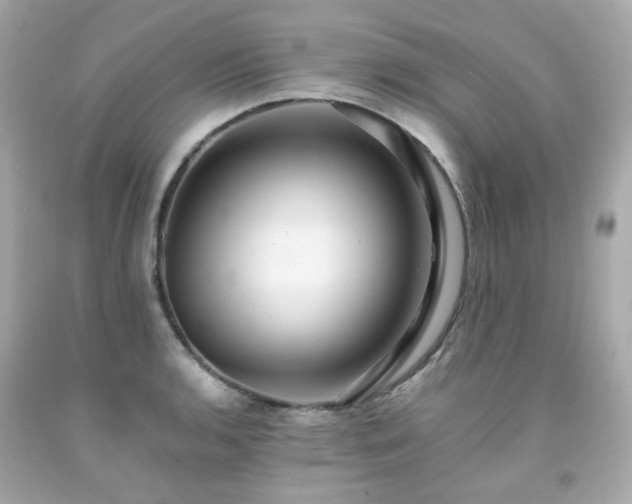 X0000091941136200709121614