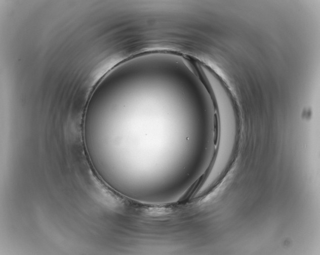 X0000091941137200709121614