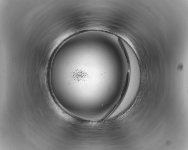 X0000091941139200709121614