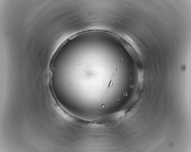 X0000091941140200709121614