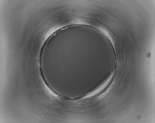 X0000091941141200709121614