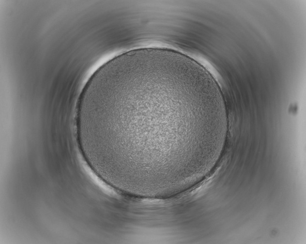 X0000091941142200709121614