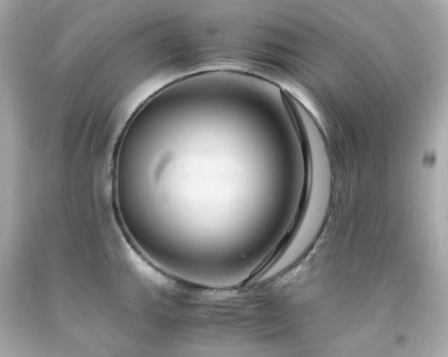 X0000091941143200709121614