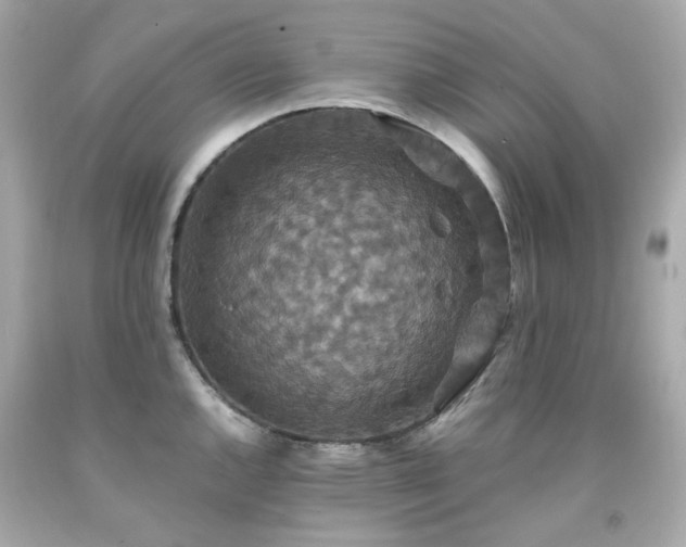 X0000091941144200709121614