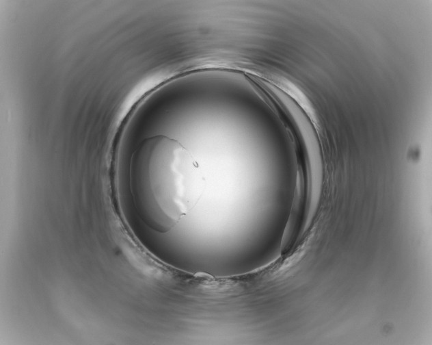 X0000091941146200709121614