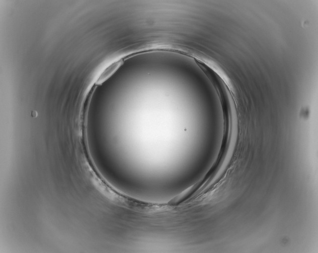 X0000091941148200709121614