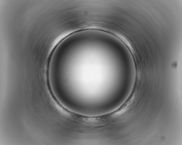 X0000091941149200709121614