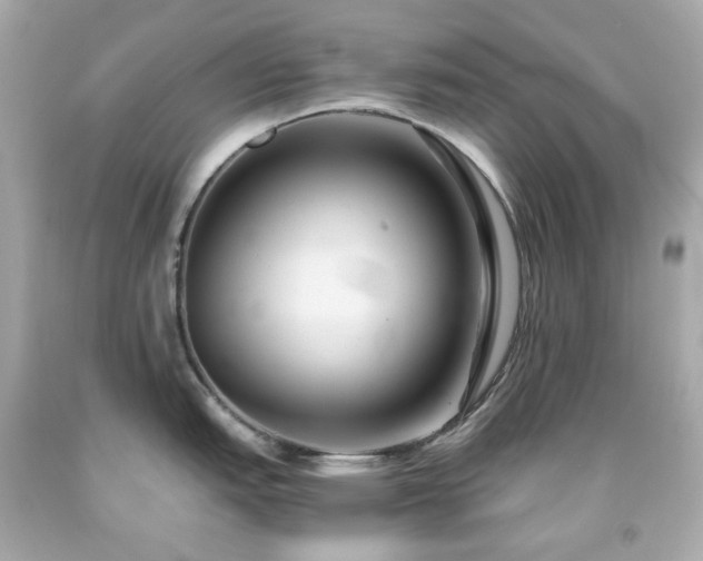 X0000091941151200709121614