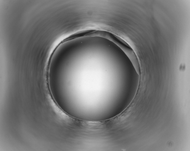 X0000091941152200709121614