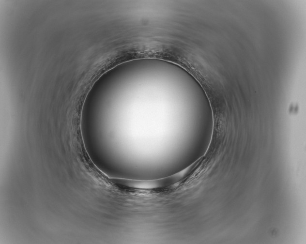 X0000091941153200709121613