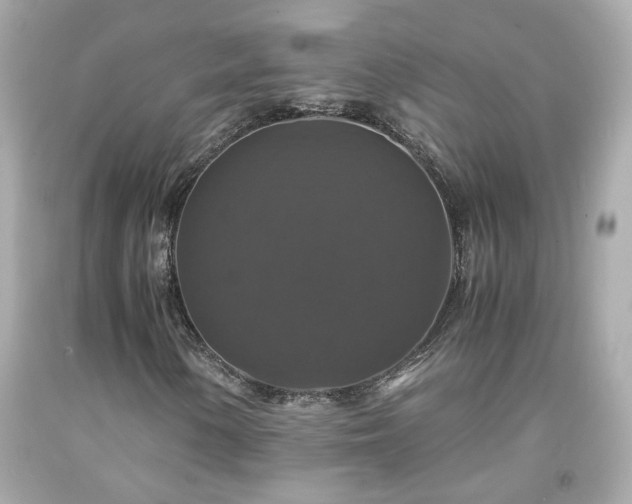 X0000091941154200709121613