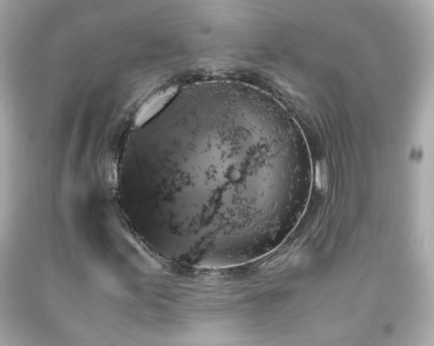 X0000091941155200709121613