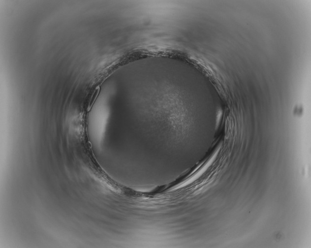 X0000091941156200709121613