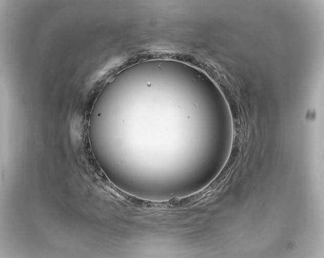 X0000091941157200709121613