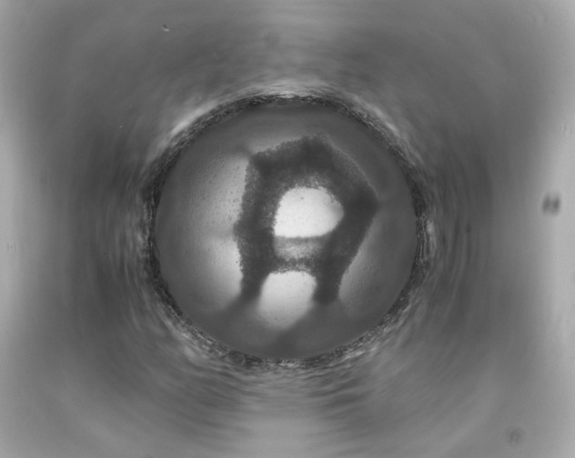 X0000091941158200709121613