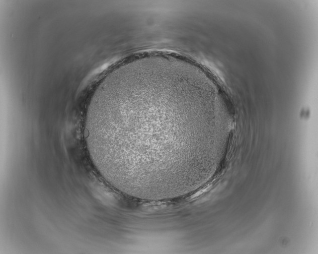 X0000091941159200709121613