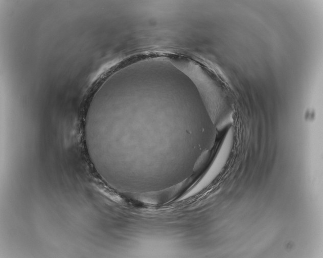 X0000091941160200709121613