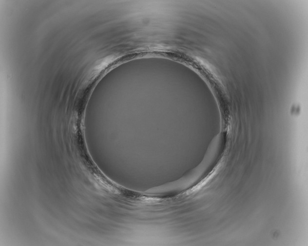 X0000091941161200709121613