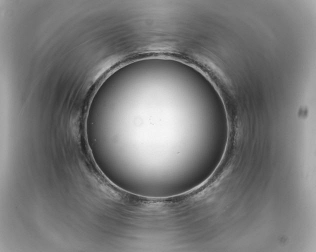 X0000091941162200709121613