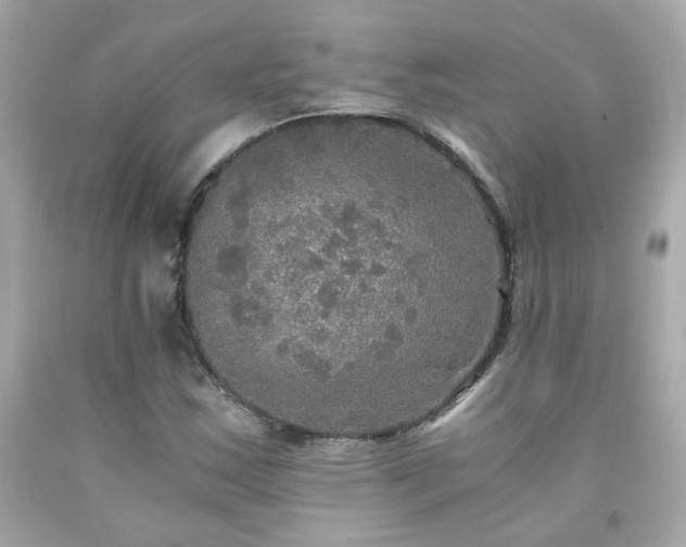 X0000091941163200709121613