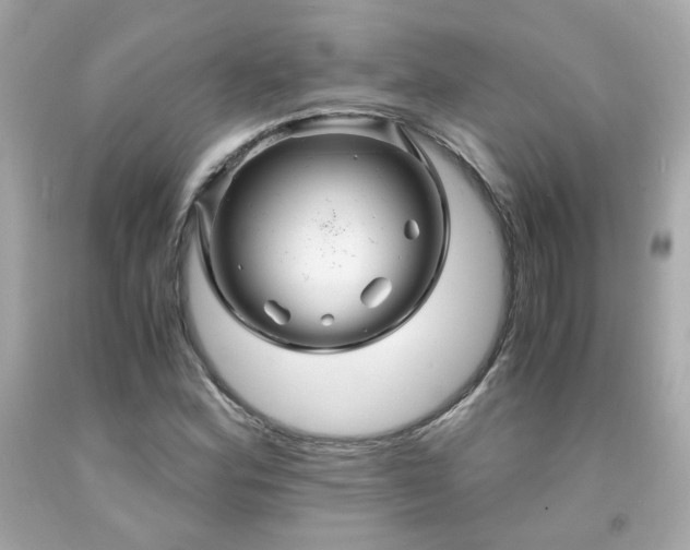 X0000091941164200709121613