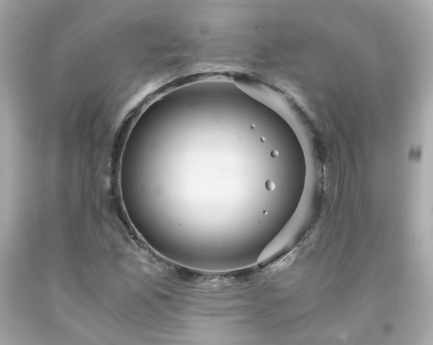 X0000091941165200709121613